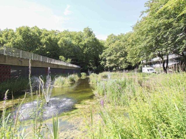 Haus kaufen in Lindenthal, Köln