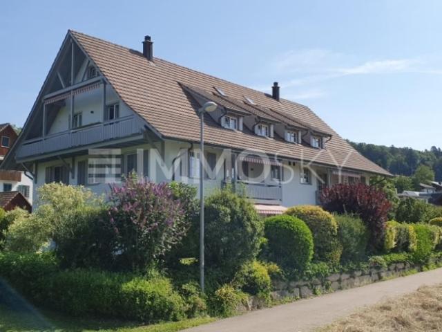 Wohnung kaufen in Otelfingen, Zürich