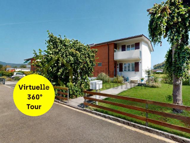 Haus kaufen in Schönenwerd, Solothurn
