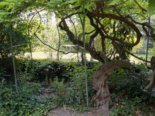 Haus kaufen in Süd, Ludwigshafen