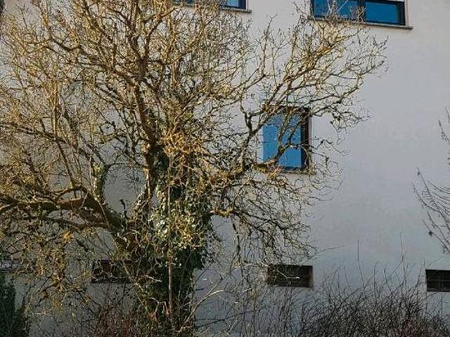 Haus kaufen in Wiesenbach, Baden-Württemberg
