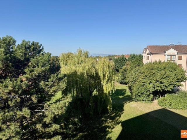 Apartment kaufen in Landegg, Pottendorf
