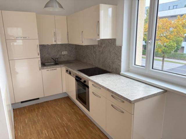 Wohnung kaufen in Steyr
