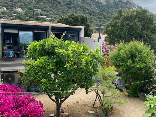 Maison vente à Calvi, Lumio