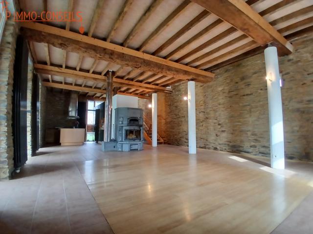 Maison vente à Châteaubriant-Ancenis, Guémené-penfao