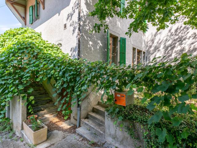 Einfamilienhaus kaufen