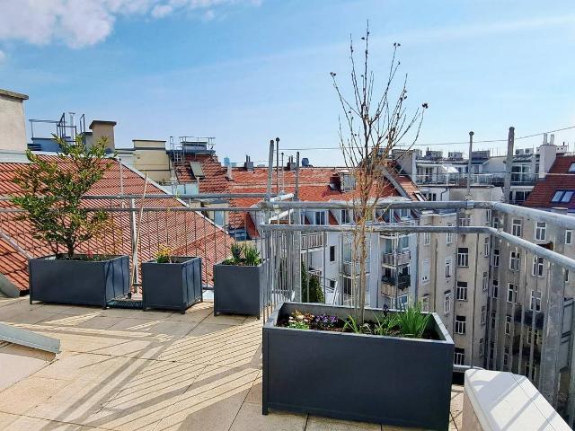 Apartment kaufen in KG Alsergrund, Wien
