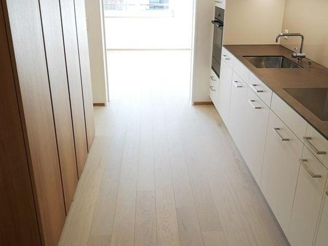 Apartment mieten in Lingg, Thalwil