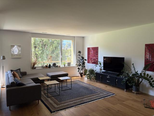 Apartment mieten in Tribschen, Luzern