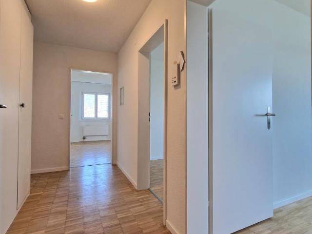 Apartment mieten in Solothurn