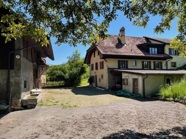 Einfamilienhaus kaufen in Domdidier, Freiburg