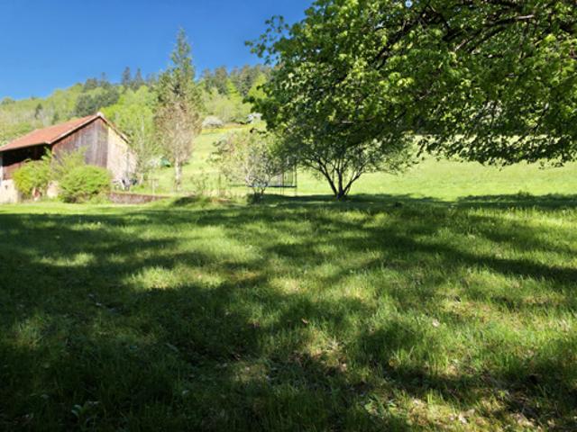 Maison vente à Sélestat-Erstein, Urbeis