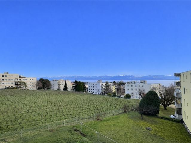 Wohnung kaufen in Rolle, Waadt