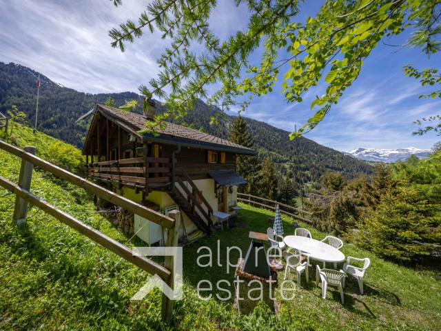Haus kaufen in Haute Nendaz, Nendaz
