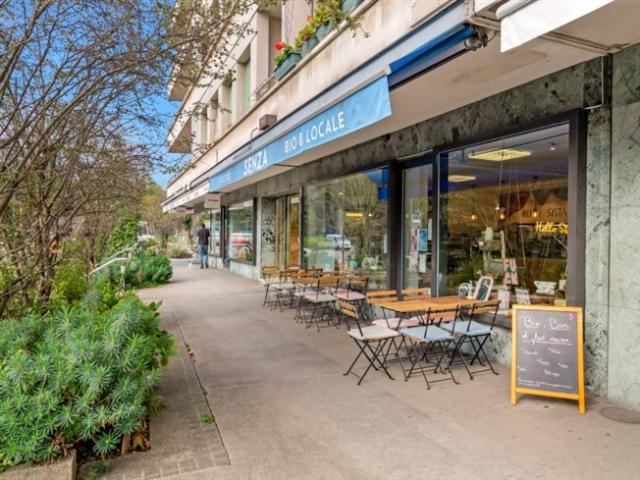 Wohnung mieten in Carouge (GE)