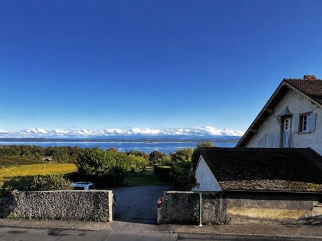 Wohnung mieten in Cortaillod