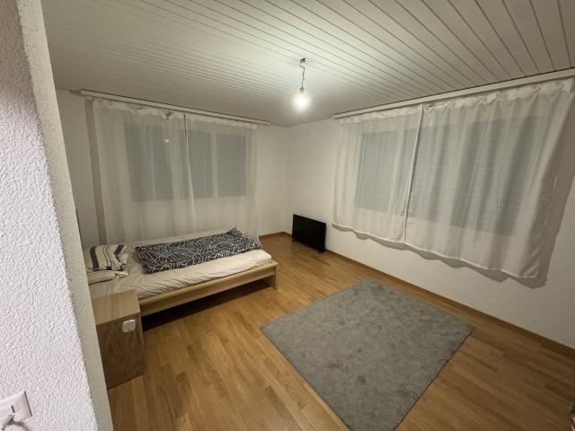 Wohnung mieten in Hedingen, Zürich