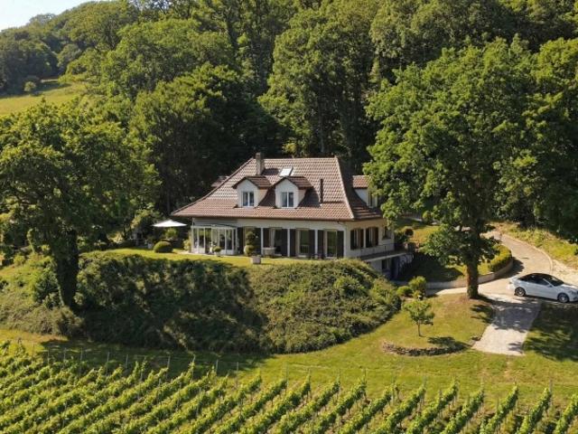 Einfamilienhaus kaufen in Champs Crétins, Onnens (VD)