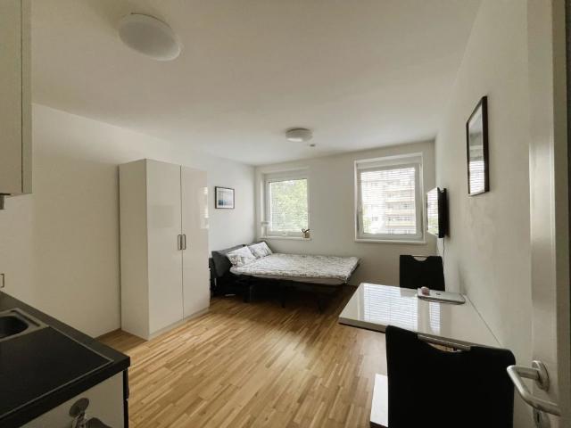 Apartment mieten in Katastralgemeinde Innere Stadt, Graz