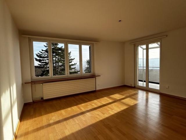 Apartment mieten in Einigen, Zürich