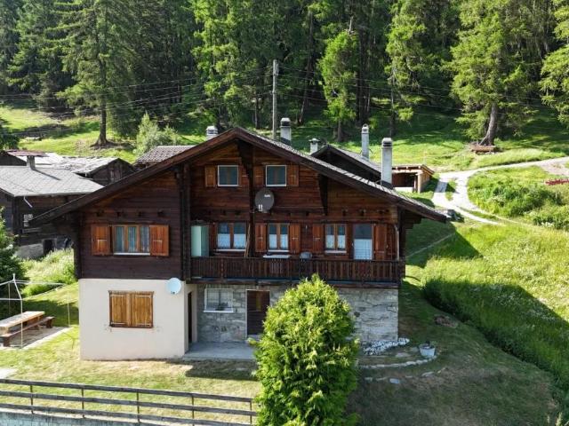Wohnung kaufen in Blatten bei Naters, Wallis
