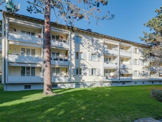 Wohnung mieten in Allschwil, Basel-Landschaft