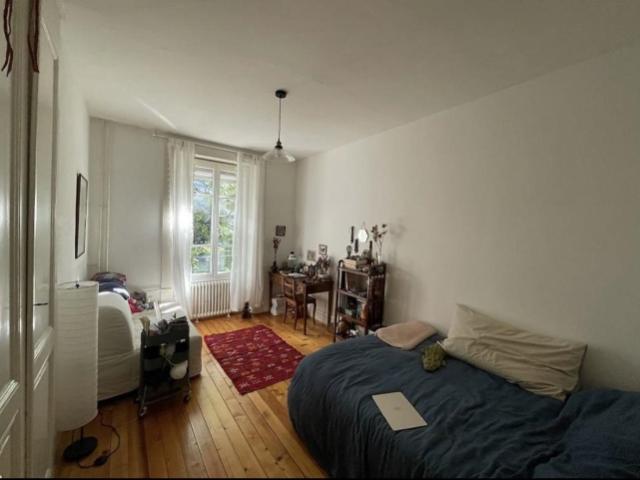 Wohnung mieten in Carouge (GE)