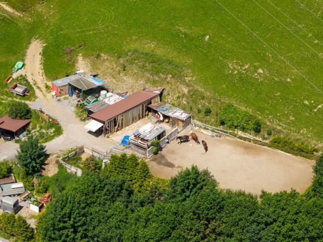 Immobilie kaufen in Klösterle am Arlberg, Vorarlberg