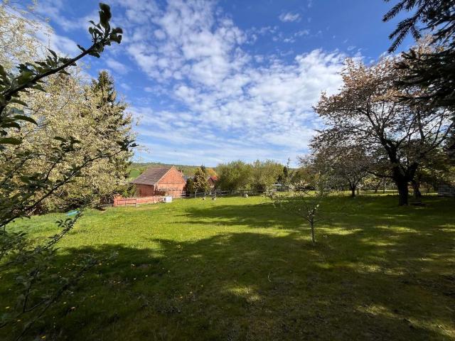 Haus kaufen in Bad Herrenalb, Baden-Württemberg