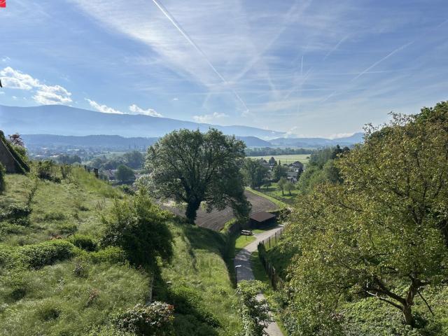 Wohnung kaufen in St. Andrä, Kärnten