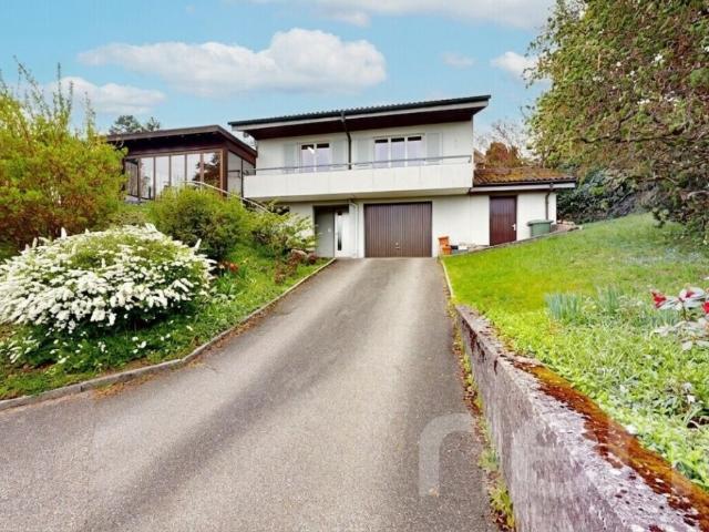 Immobilie kaufen in Hägendorf, Solothurn