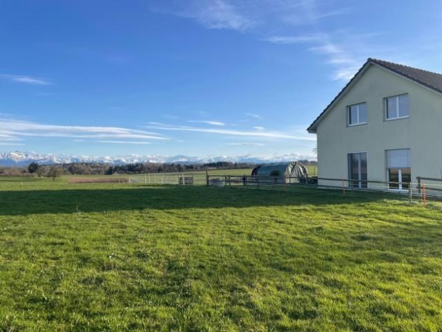 Einfamilienhaus kaufen in Kradolf-Schönenberg, Thurgau