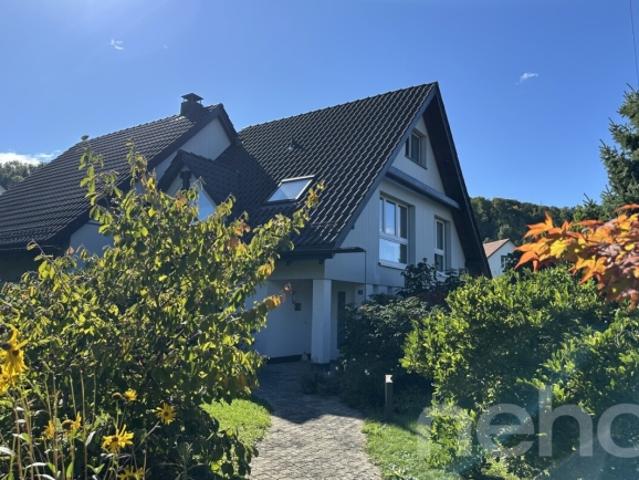 Einfamilienhaus kaufen in Langnau am Albis, Zürich