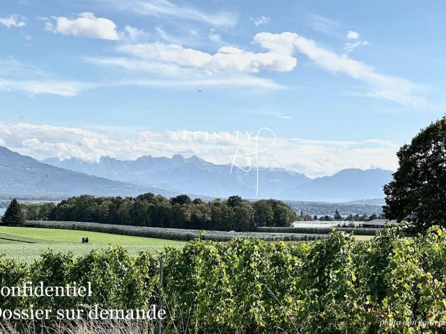 Haus kaufen in Commugny, Waadt