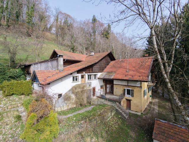 Landwirtschaft kaufen in Corsier-sur-Vevey, Waadt