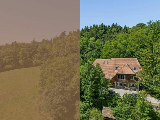 Landwirtschaft kaufen in Gümmenen, Bern