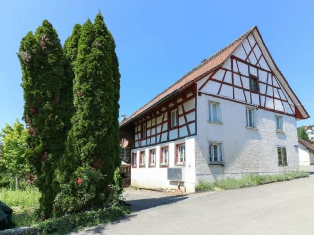Bauernhaus kaufen in Bachs, Zürich