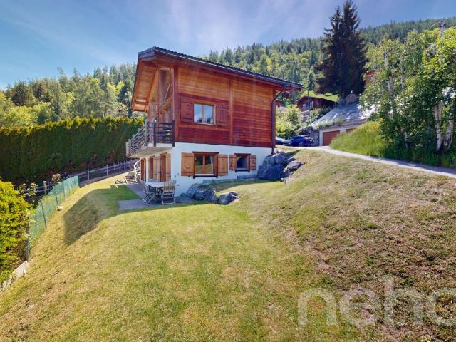 Haus kaufen in Baar, Nendaz, Wallis