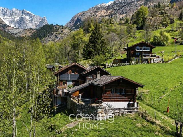 Wohnung kaufen in Fieschertal, Wallis