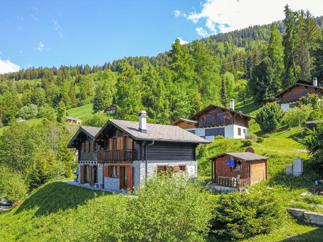 Haus kaufen in Nendaz, Wallis