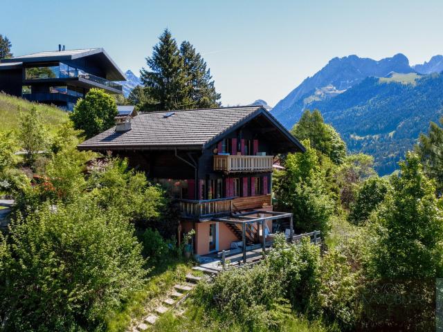 Haus kaufen in Gryon, Waadt