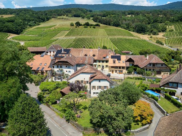 Einfamilienhaus kaufen in Bonvillars, Waadt