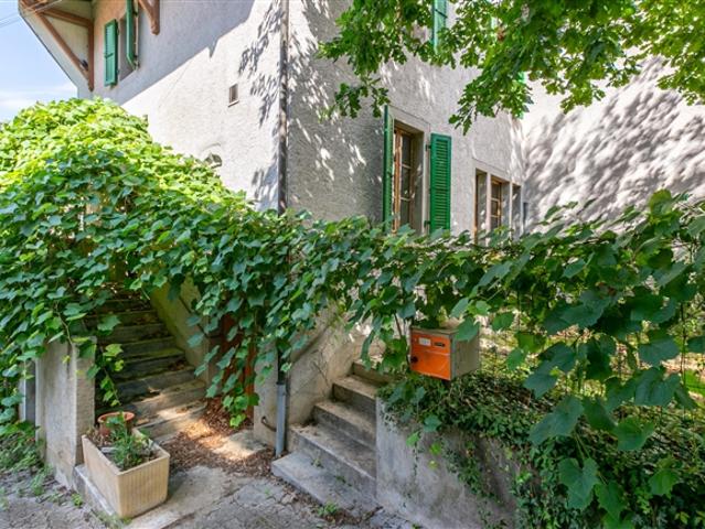 Einfamilienhaus kaufen in Laconnex