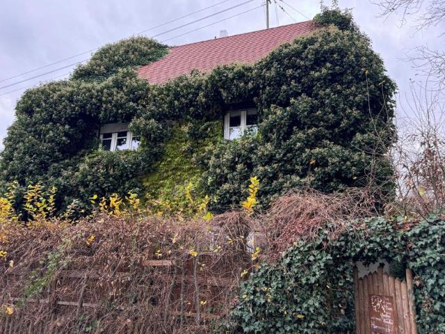 Haus kaufen in Augsburg