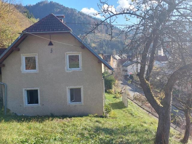 Haus kaufen in Bad Eisenkappel, Kärnten