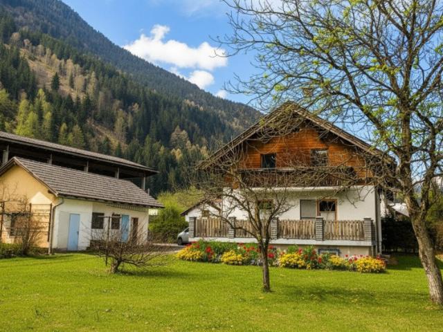 Einfamilienhaus kaufen in Reisseck, Kärnten