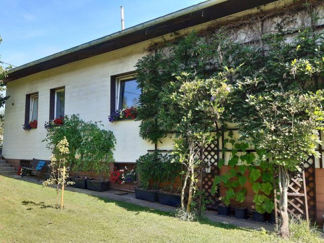 Haus kaufen in St. Gotthard im Mühlkreis, Oberösterreich