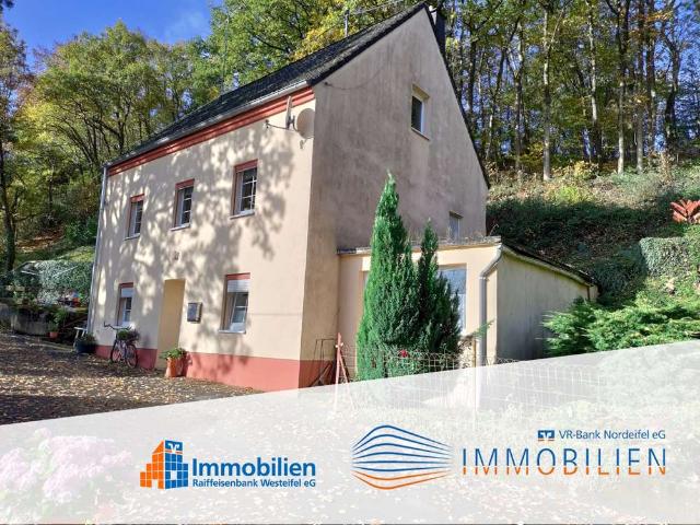 Haus kaufen in Pronsfeld, Eifelkreis Bitburg-Prüm