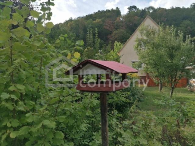 Einfamilienhaus kaufen in Gloggnitz, Niederösterreich