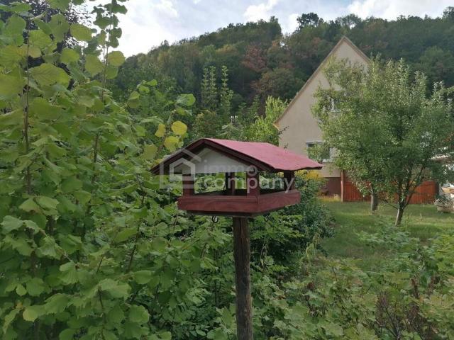 Haus kaufen in Neunkirchen, Niederösterreich